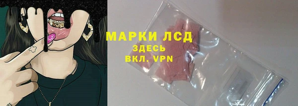 прущие грибы Анива