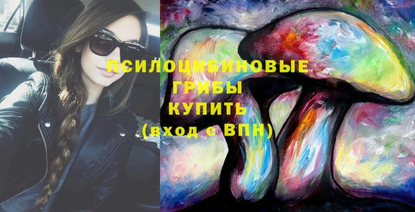 mdpv Новозыбков
