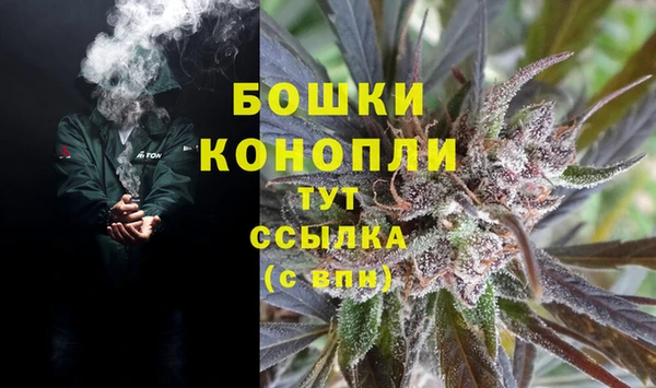 mdpv Новозыбков