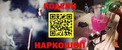 СК Гатчина
