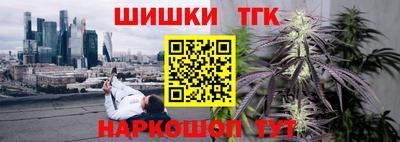 СК Гатчина