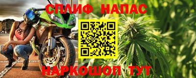 ECSTASY Гай