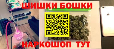 СК Гатчина