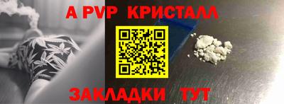 СК Гатчина