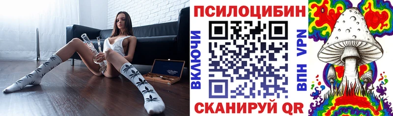 Псилоцибиновые грибы ЛСД  omg вход  Знаменск 