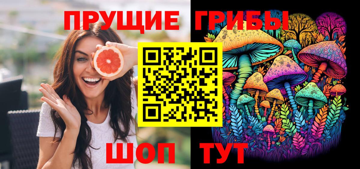 Псилоцибиновые грибы Psilocybe  Знаменск  Галлюциногенные грибы мухоморы 