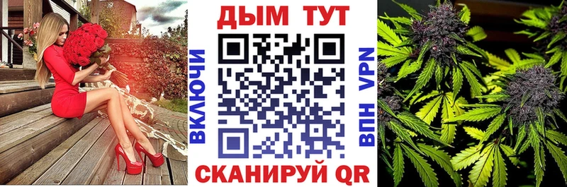 Бошки Шишки планчик  Знаменск 